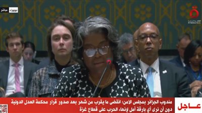 مندوبة أمريكا بمجلس الأمن: الوقت ليس مناسب لوقف إطلاق النار في غزة