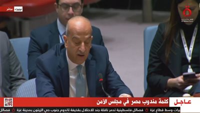 مندوب مصر بالأمم المتحدة: نرى ازدواجية المعايير بشأن الفلسطينيين