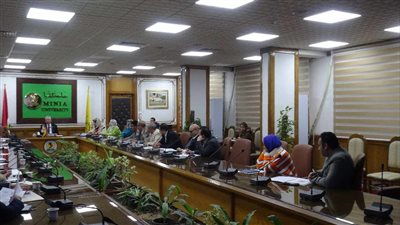 استحداث برامج دراسية تلبي احتياجات سوق العمل الحديث بجامعة المنيا 