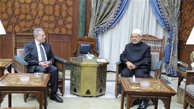 الإمام الأكبر: التطبيع واعتياد مشاهد قتل الشهداء فى غزة وقصف النازحين شيء مؤلم