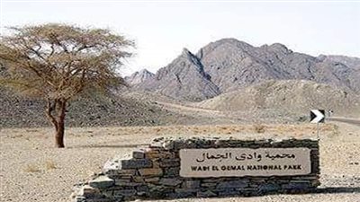 شاهد كنوز البحر الأحمر في 4 محميات طبيعية