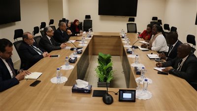 وزير الكهرباء يستقبل الوزير المفوض للطاقة بدولة تنزانيا لبحث سبل التعاون