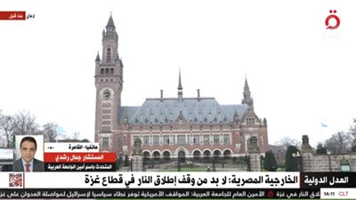 الجامعة العربية: الاحتلال ينفذ حالات تطهير عرقي بحق الشعب الفلسطيني 