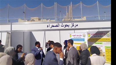 توصيات هامة لمزارعي الفول البلدي لحماية المحصول 