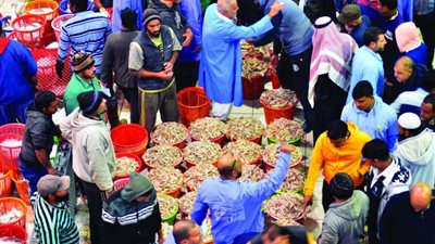 الكويت تسعى إلى تثبيت أسعار الأسماك واللحوم قبل رمضان