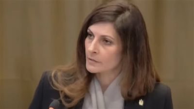 أستاذ علاقات دولية: الدول العربية تثبت حقوق الشعب الفلسطيني أمام الهيئات القضائية العالمية