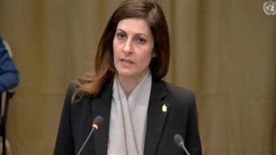 في الصميم.. دفاع الحكومة الفلسطينية يُثمن مرافعة مصر أمام محكمة العدل (فيديو)