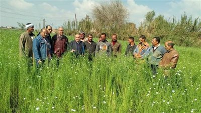 يوم حقل زراعي لمحصول الكتان وأهميته الاقتصادية والغذائية بالشرقية