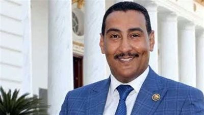 برلماني يطالب بعدم تخفيف الأحمال في محافظات قنا والأقصر وأسوان  