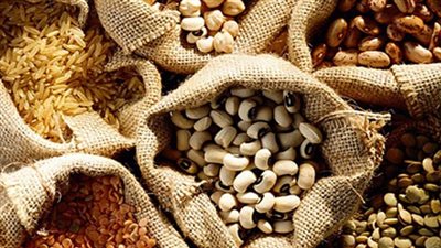 موسم حصاد الفول ينقذ رمضان.. تراجع متوقع في الأسعار خلال أبريل