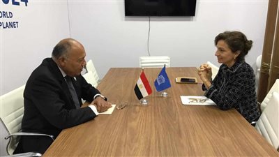 وزير الخارجية لليونسكو: مصر لن تدخر أي جهد لرفع المعاناة عن الفلسطينين