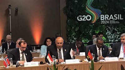 وزير الخارجية يؤكد على أهمية إصلاح الحوكمة العالمية للتعامل مع الأزمات 