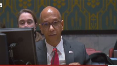 مندوب أمريكا بمجلس الأمن يكشف شرط بلاده للموافقة على وقف الحرب في غزة 