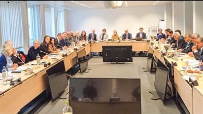 تصدير أول شحنة أمونيا خضراء تم تصنيعها بمنطقة قناة السويس 