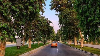 اليوم.. طقس مشمس دافئ نهارًا بالإسماعيلية 