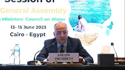 وزير الري: اختيار مصر لتولي رئاسة 