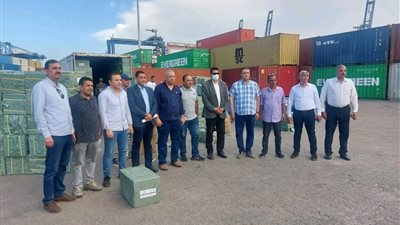 جمارك الدخيلة تحبط محاولة تهريب مبيدات زراعية بالإسكندرية 