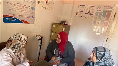 الدقهلية: 28 ألف سيدة منتفعة من خدمات 