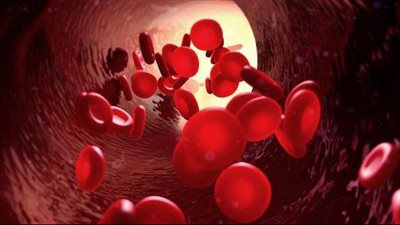 أطعمة تحتوي على مصادر فيتامين سي| كيفية زيادة الهيموجلوبين لديك 