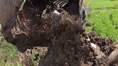 تنفيذ 32 قرار إزالة تعدي بالبناء علي أراضي أملاك الدولة بالدقهلية 