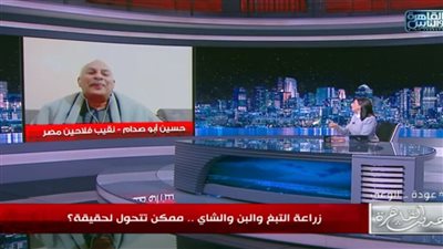 نقيب الفلاحين: أراضي مصر لا تُصلح لزراعة الشاي.. والتبغ مُضر للتربة