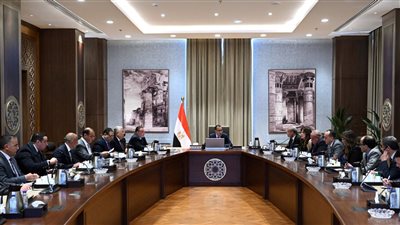 رئيس الوزراء يناقش توفير التمويل المطلوب من النقد الأجنبي للسلع الاستراتيجية