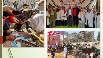 قافلة بيطرية توعوية وقائية مجانية بقرية السعيدية في الشرقية