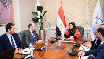 إطلاق منصة إلكترونية تلبي احتياجات المصريين بالخارج.. تقاصيل