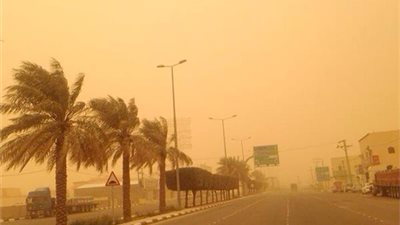 الأرصاد تحذر مرضى الجيوب الأنفية من طقس اليوم (فيديو)