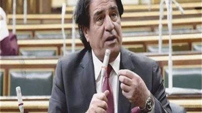 الشئون العربية بمجلس النواب: نعيش ظروف صعبة والأسعار مرتفعة والمواطن يئن بشكل كبير