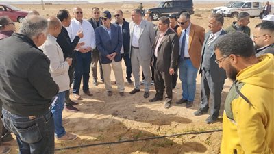 محافظ شمال سيناء يسلم أشجارا مثمرة ضمن 