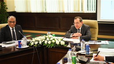 “ البتر” تقترب من تشغيل مشروع إنتاج الألواح الخشبية متوسطة الكثافة (MDF)