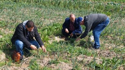 قافلة تكشف ارتفاع نسبة الملوحة بأراضي التل الكبير 