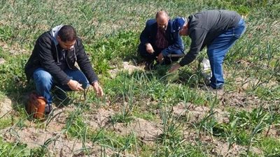 ضمن حياه كريمة.. جامعة القناة تقدم قافلة شاملة لعزبة الظاهرية بالإسماعيلية 