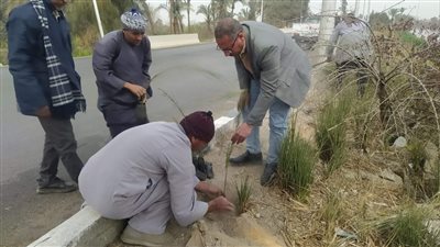 استمرار زراعة أشجار الزينة والمثمرة في مركزي مطاي وديرمواس