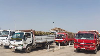 صلاح فتحي: الفيوم للسكر تتعاقد على استلام 85 ألف فدان الموسم الجاري