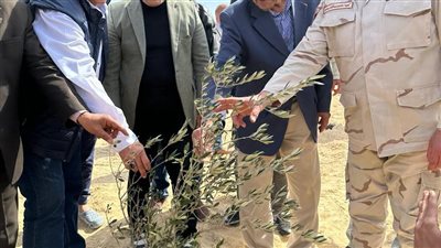 بحوث الصحراء يؤكد أهمية المشروعات القومية الزراعية في سيناء