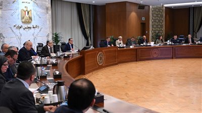  الحكومة تستعرض العروض المقدمة لطرح شركة 