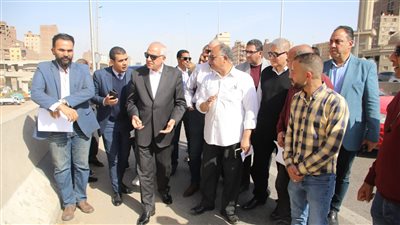 محافظ الجيزة: تقدم نسب تنفيذ أعمال طلاء واجهات العقارات المطلة على الطريق الدائري