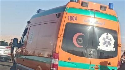 مصرع عامل سقطت عليه نخله أمام منزله بقنا