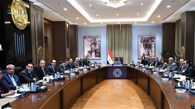 الحكومة تدرس إنشاء مجمع صناعي متكامل لمنتجات الحديد والصلب المتطورة 