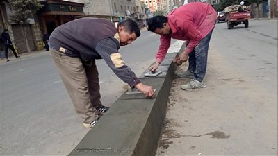 رفع 570 طن قمامة وأتربة من المنطقة المركزية بالدقهلية 