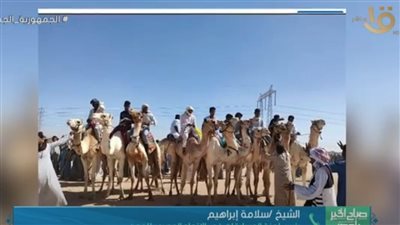 رئيس لجنة مسابقات الهجن: اهتمام كبير من وزارة الشباب والرياضة والاتحاد المصري ‏لنشر ودعم اللعبة