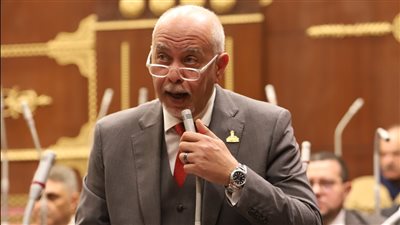 النائب حازم الجندي: مصر والرئيس السيسي قدما نموذجًا إنسانيًا غير مسبوق لذوي الهمم