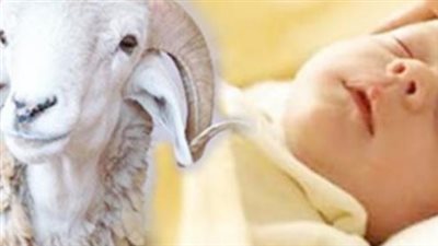 ماذا يقول المسلم عند ذبح العقيقة؟