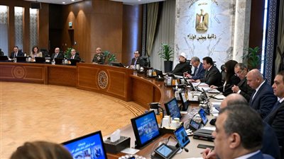  الإعلان عن دخول 520 مليون دولار لوزارة قطاع الأعمال اليوم من صفقة 