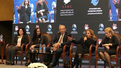 مايا مرسي: القطاع الخاص لا يستطيع أن يقوم فقط على الرجال 