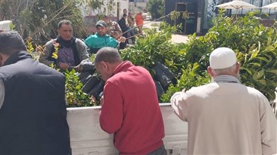 شباب ورياضة دمياط تتسلم 2700 شجرة زينة ومثمرة