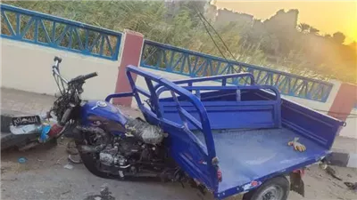 مصرع شخص في انقلاب تروسيكل بالمنصورة
