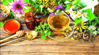 الطب البديل.. أعشاب طبيعية تخلصك من نزلات البرد وتقوي مناعتك